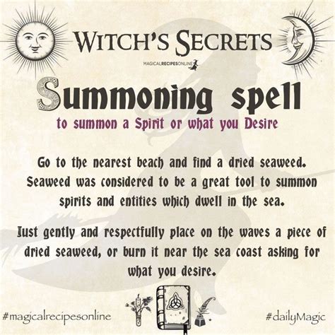 Witchcraft and Seaweed: An Ancient Connection in Stuart, FL